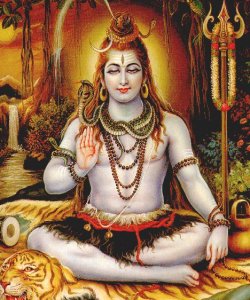 Shiva ascetic