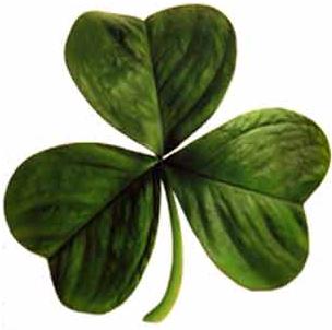 Three-leafed clover