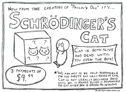Schrodingers Cat