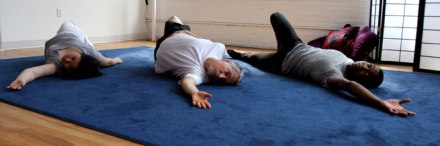 Feldenkrais Method