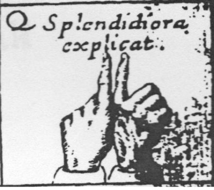 Splendidora explicat