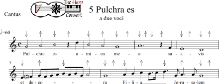 Pulchra es for Tactus_0001